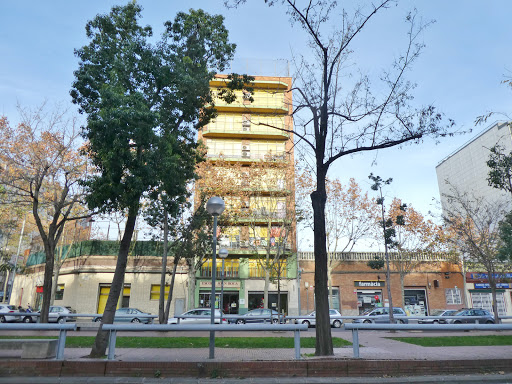 Joan Roca Guipúscoa School