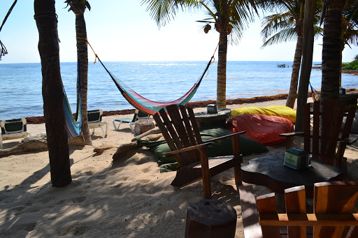 site_photo3