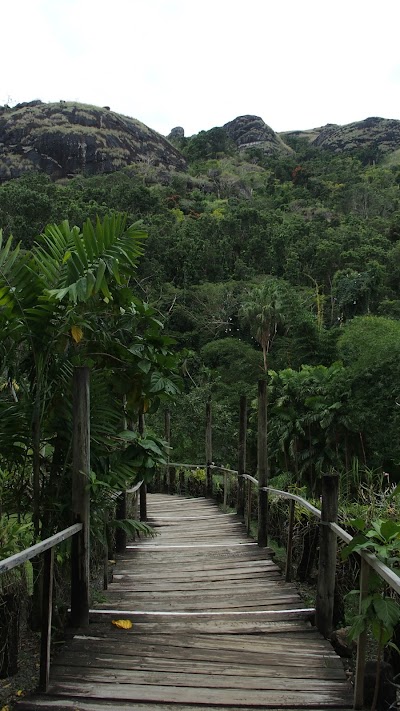 Photos of Orchid Gardens at Sleeping Giant
