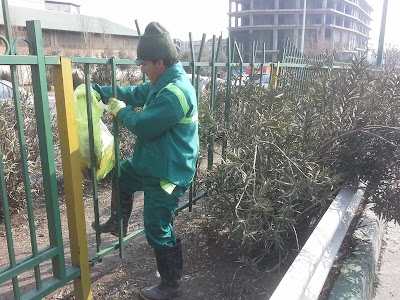 Photos of Nastaran Park