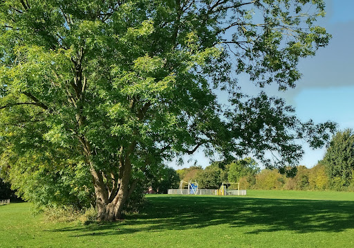 Faverdale Park - Thumbnail