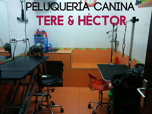 PELUQUERÍA CANINA , CLÍNICA VETERINARIA Y VENTA DE TRAJES FLAMENCOS - Thumbnail