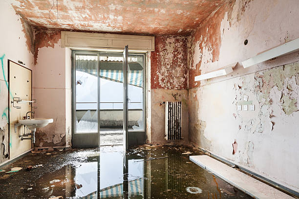 PrimeFlood photo