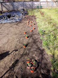 Photo n°6 de JNG Jardin à Le Petit-Quevilly (Jardin)