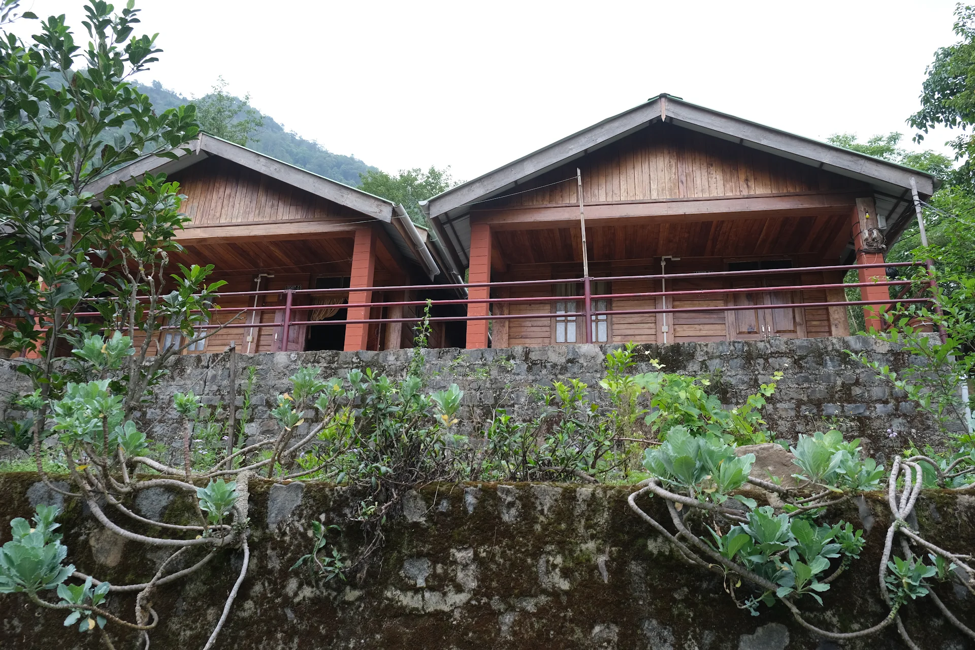 Camp David, Kigwema