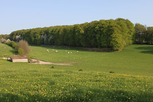 Photo n°4 de Elevage de la Ventillette à Rétonval (Vendeur de viande en gros)