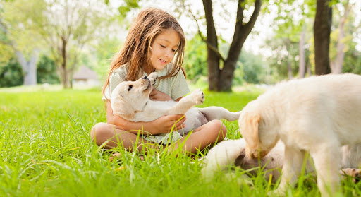 Palms Vets- Bayside Veterinary Clinic