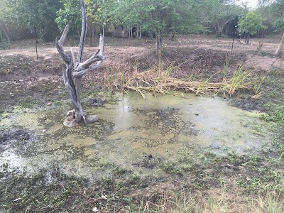 Photos of Big Game Camp Wilpattu