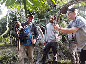 Lupuna jungle tours 8