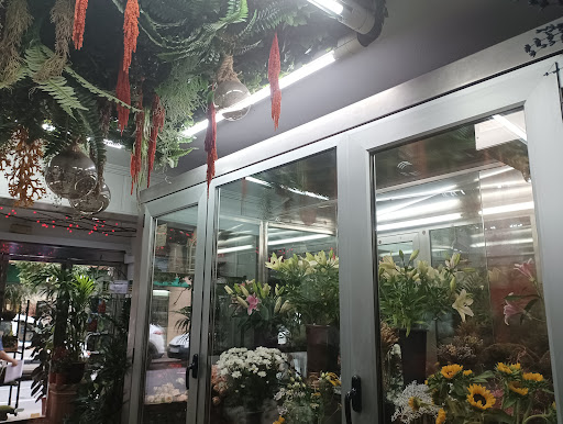 San Lorenzo Florist