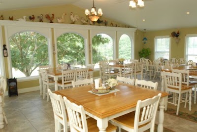 Photos of Southern Cross Ranch