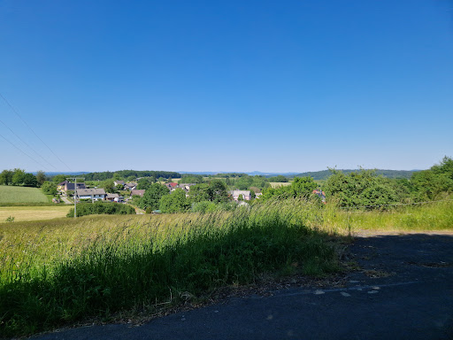 Waldsofa Bermbach - Visual