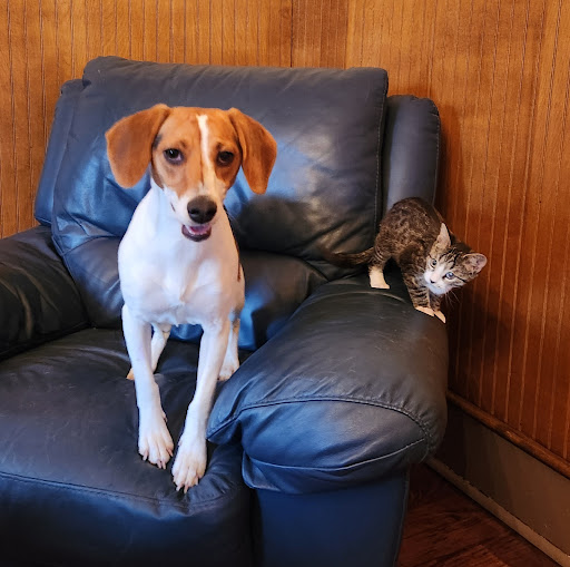 Bertie County Humane Society