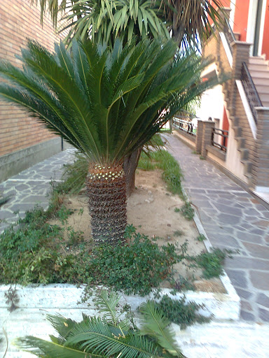 Cimitero di Cappelle Sul Tavo Logo