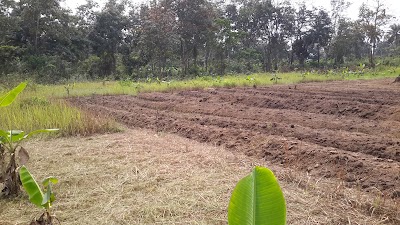 Photos of Gift - Gaja Farms