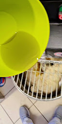 Photo n°8 de Au Four à Bois à Craponne (Restaurant italien)