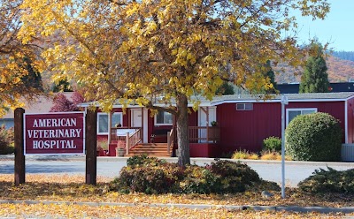 American Veterinary Hospital