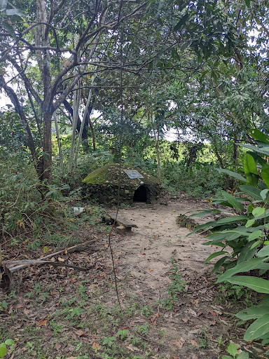 El Ceibo - Visual