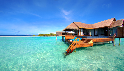Love Life Travel Club