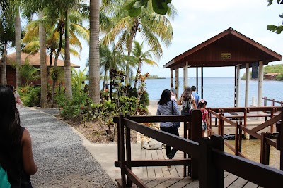 Photos of West End Resort