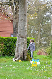 Photo n°50 de Camping Les Falaises de Toussaint à Toussaint (Terrain de camping)