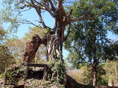 Photos of Daem Chrei Temple