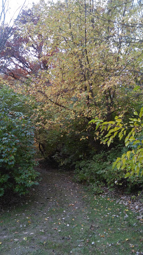 Endres Park - Visual