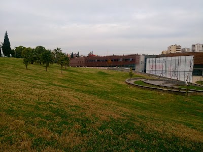 local-government-office