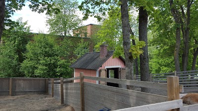 Photos of Doghill Fairytale Farm