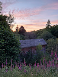 Photo n°19 de Domaine Rêves Étoilés : Nuit insolite en bulle et en cabane La Roche Maurice Bed & Breakfast (Finistère) à La Roche-Maurice (Hôtel bien-être)