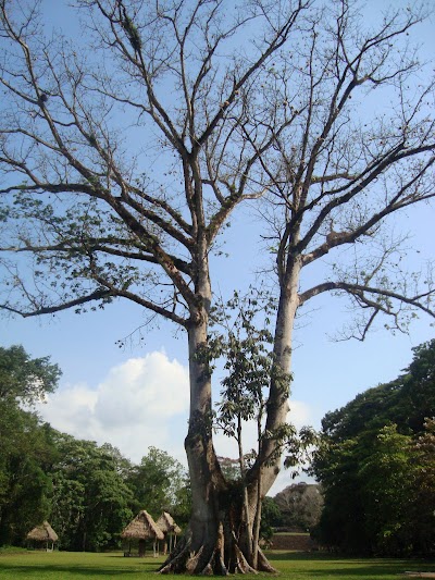 Photos of Quirigua Gran Plaza