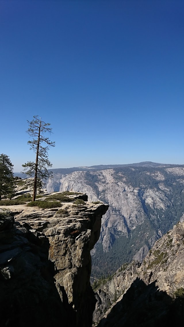 Taft Point Trailhead