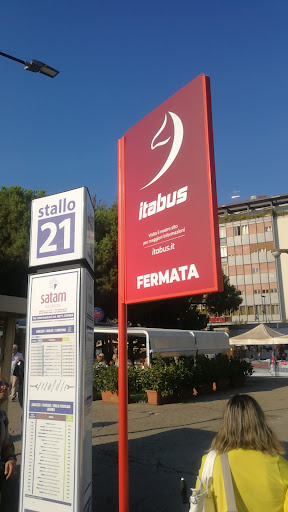 Itabus fermata - Visual