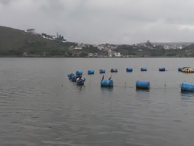 Photos of Muelle Bar Yahuarcocha