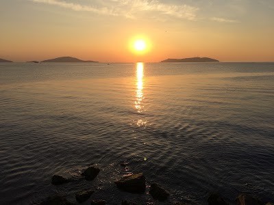 Photos of İdealtepe