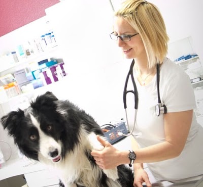 veterinary-care