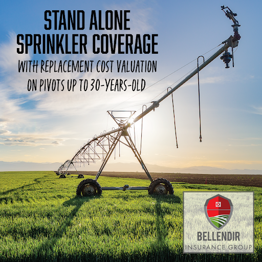 Bellendir Insurance Group Gallery - United States