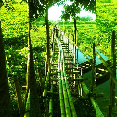 Photos of কেশবচর