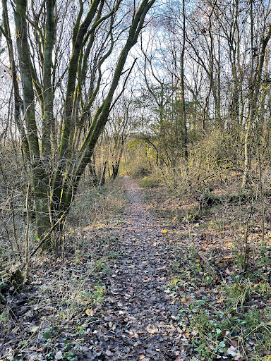Brierfield loop walk. - Visual