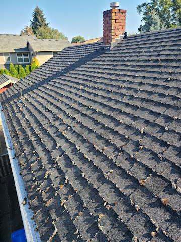 Gallery of Cascadia Softwash LLC located in  - Top-rated Pressure Washing Service nearby.