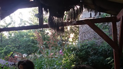 Photos of Yunus Emre Cafe