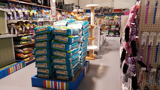 Petstock Indooroopilly - Thumbnail