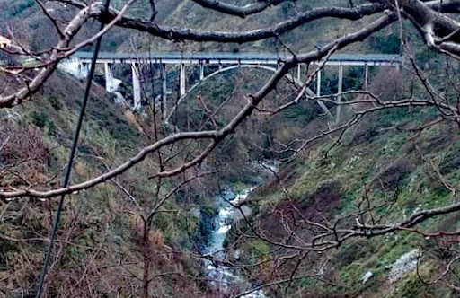 Parco fluviale del fiume Corace - Thumbnail