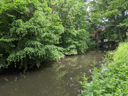 Englischer Garten Hugstetten - Thumbnail