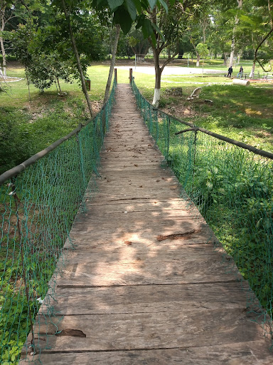 AYUTLA EXPLORER - Visual