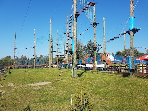 Adventure Park in Siedlce (rope), Author: Piotr Kosiorek