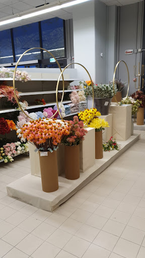 Galassia Store - Thumbnail