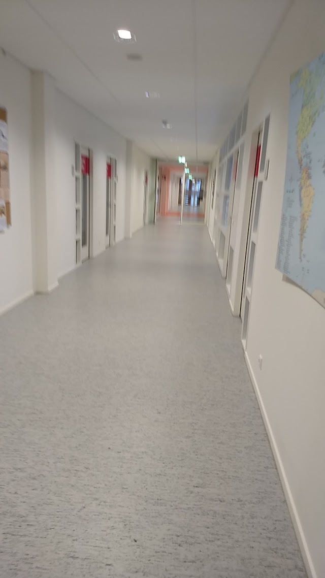 Avans Hogeschool