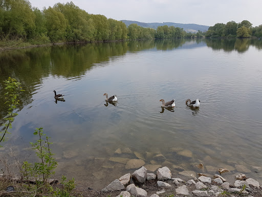 Bruchsee - Visual