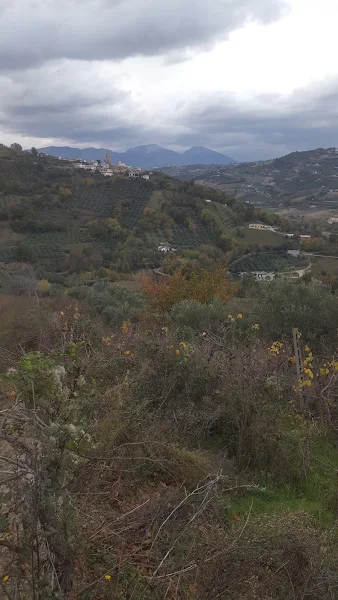 A.D.G. Impianti Di Valeriani Guido photo